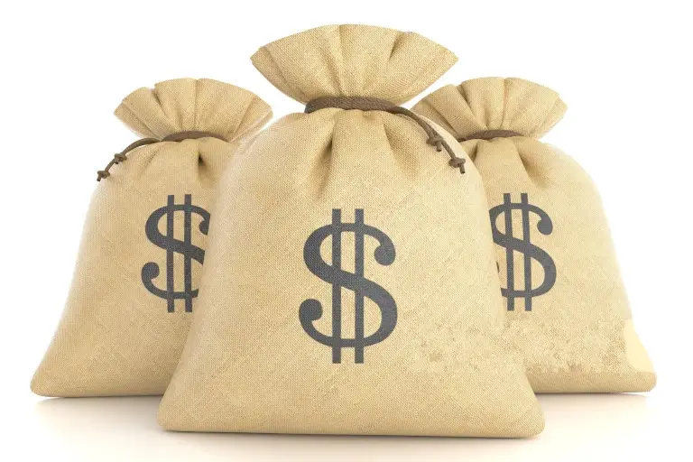 Bolsas para el transporte de monedas