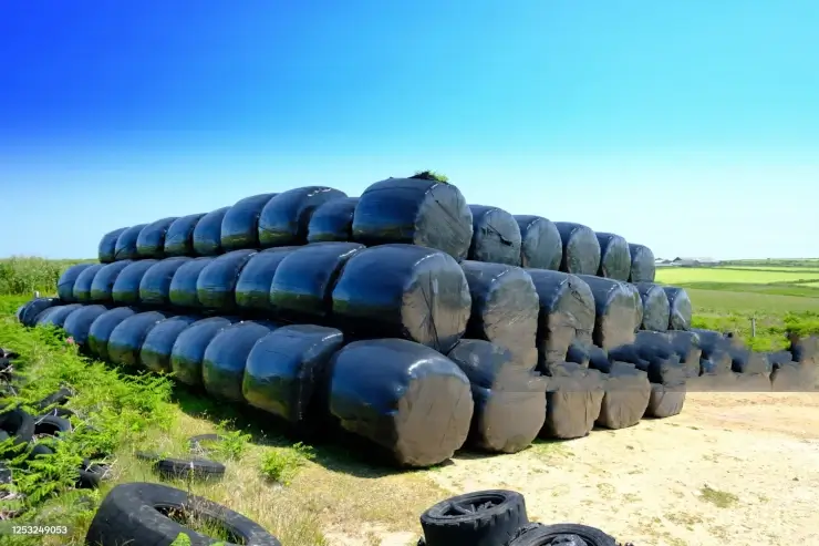 Silo bolsas de alta calidad