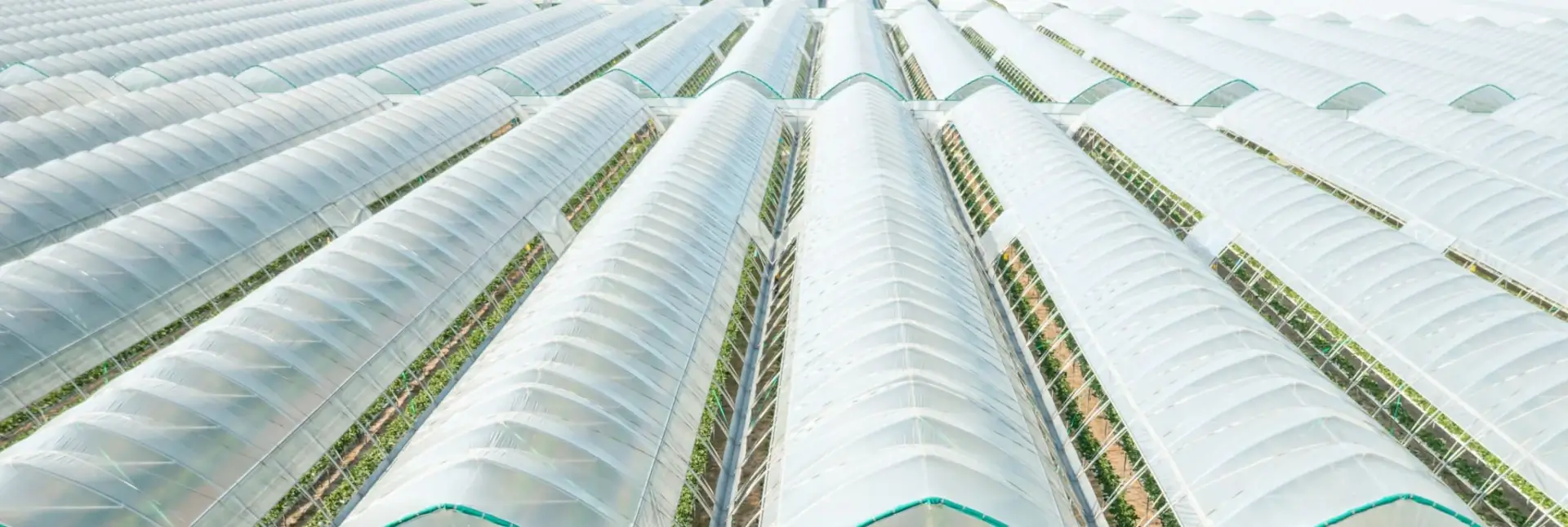 Fábrica de bolsas plásticas al por mayor